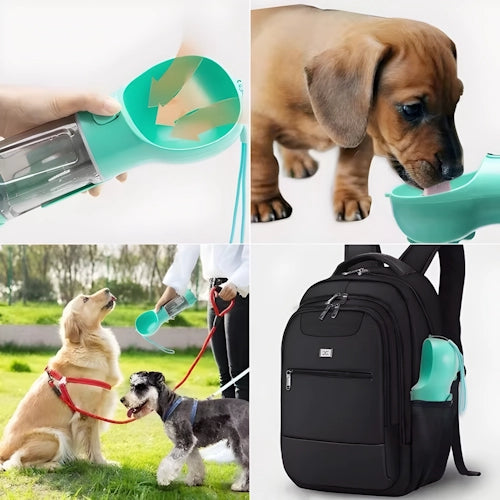 Zotty Wasserflasche – Für Hunde unterwegs